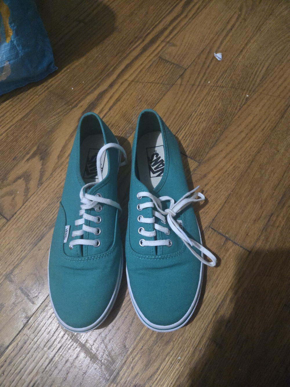 Vans Teal Canvas Low-Top Sneakers with White Accents